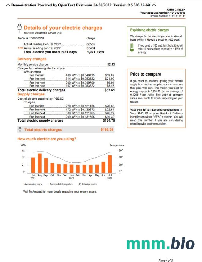 USA New York PSEG rachunek za media, Word i PDF template, 5 strony 4